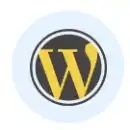 WordPress Development Company in India | Starenabler WordPress Development